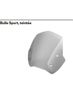 Bulle Sport teintée R1250R